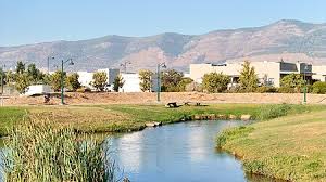 Haim's yard Hhagoshrim