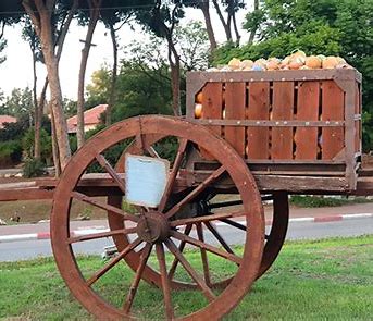 Melina's Salon in Pardes Hanna